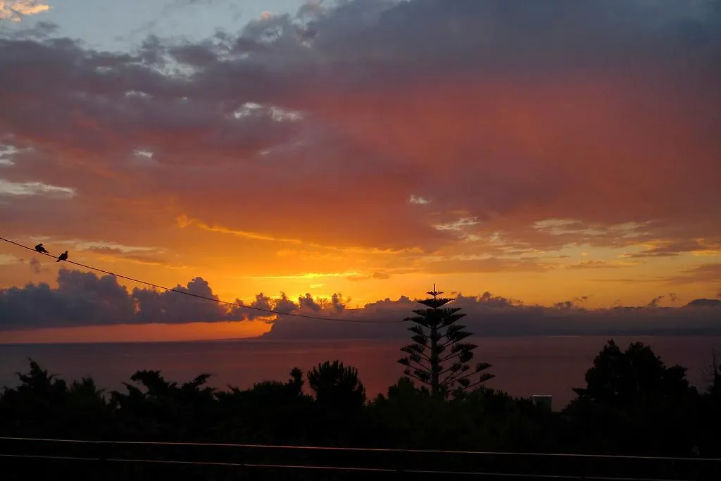 Casa Vacanze La Terrazza Sul Golfo 카스텔라마레델골포 펜션